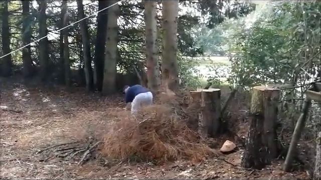 Holzfällen смотреть онлайн