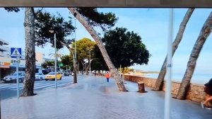 Телевизор Haier 65 Smart TV S4