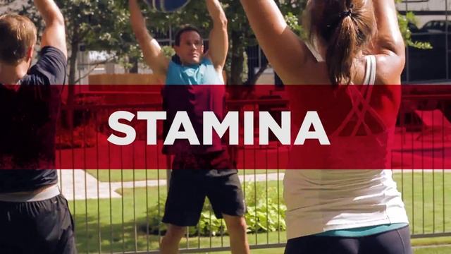 Dynamax Promo 2015 смотреть онлайн