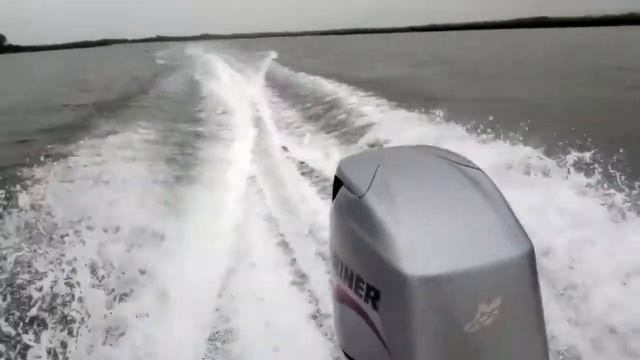 Douglas Marine 60HP Predator Boats Are Awesome смотреть онлайн