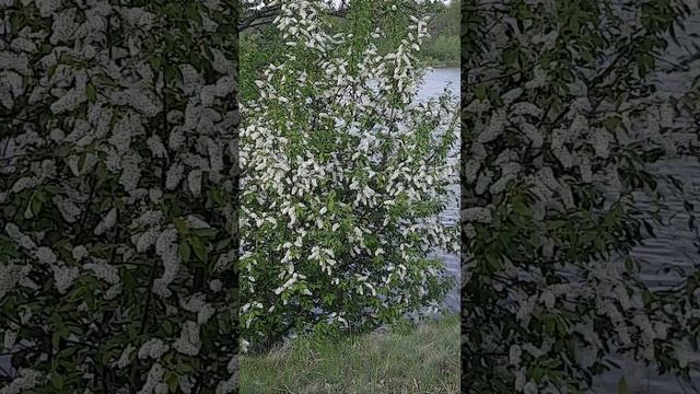 отдых на природе