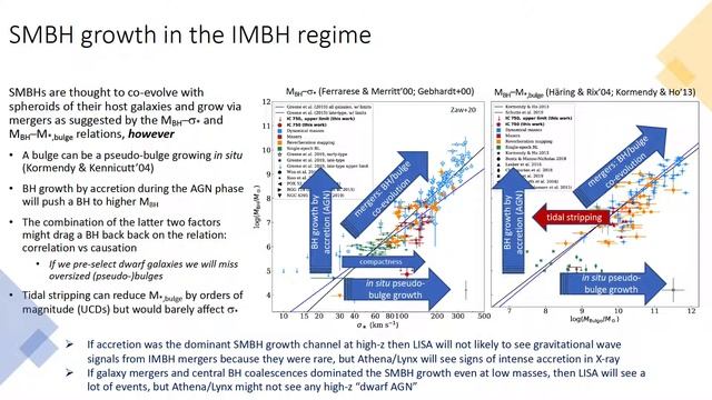 AGN powered by IMBHs: scaling relations and (often) rapid growth - Igor Chilingarian смотреть онлайн