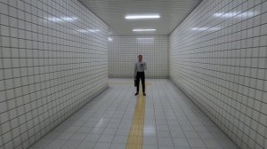 The Exit 8 \ Выход номер 8 \ странности в подземке