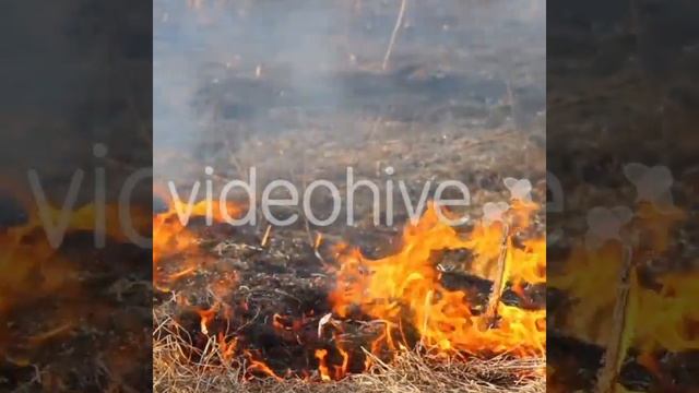 снова вперёд смотреть онлайн