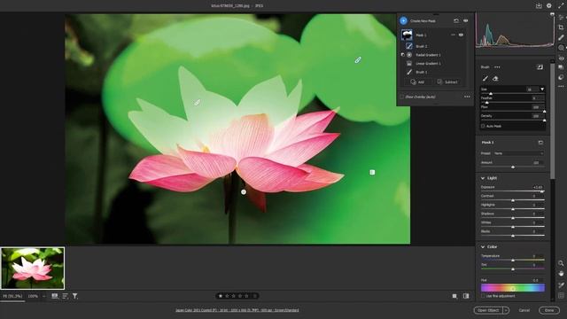 Adobe Camera RAW - Lesson 33 - Mask Overlay Options смотреть онлайн