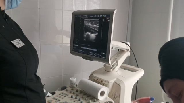 С Софочкой на повторном УЗИ сегодня 11 мая. смотреть онлайн
