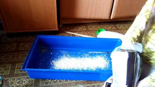 Уборка у шиншиллы🐾 смотреть онлайн