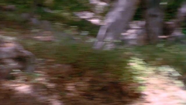 Wonder Woman Saves Steve  From A Tree & Evil Mastermind Manta 1080P BD