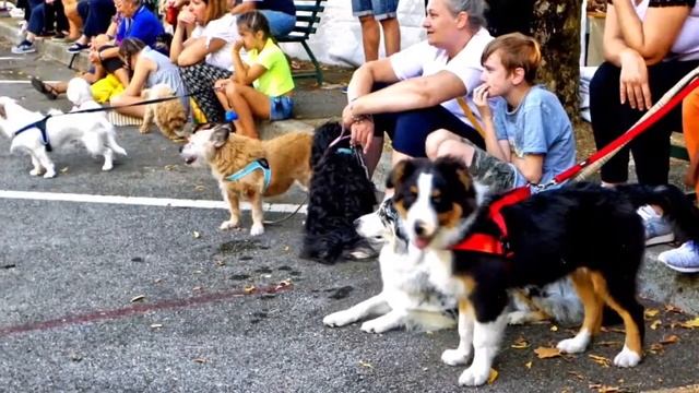 Abetone Cutigliano mon Amour " SACRA DI MEZZA ESTASTE " video + foto agosto 2018 by walter giusti смотреть онлайн