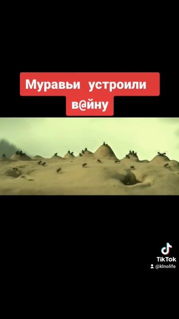 Муравьи объявили друг другу вoйнy смотреть онлайн