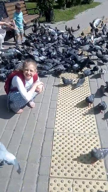 Голодные голуби чуть не заклевали девочку... смотреть онлайн