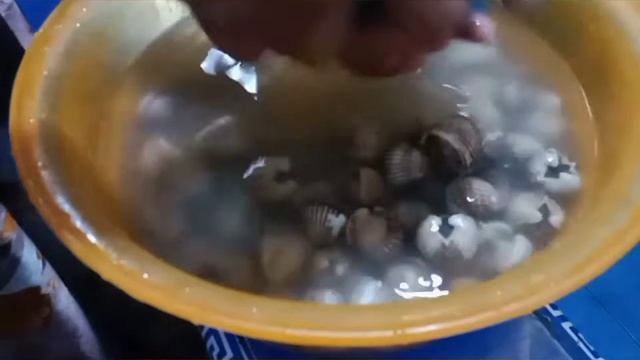 Pantai Lancok, Aceh Utara Penghasil Anadara Granosa смотреть онлайн