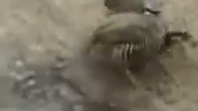 КАБК ЧАНГ смотреть онлайн