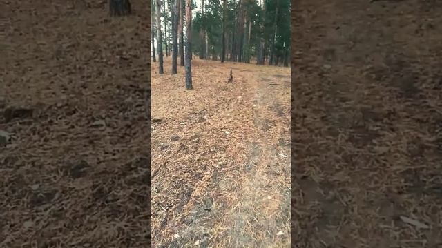 Предназначение души смотреть онлайн