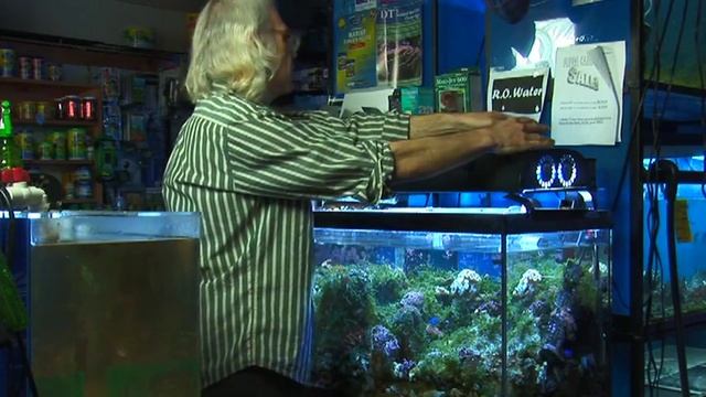 Saltwater Fish Tanks : Saltwater Fish Tank Pumps смотреть онлайн