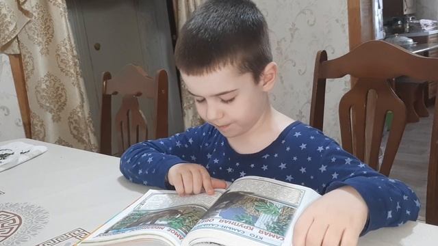 Самое медленное животное - ленивец 🙂 смотреть онлайн