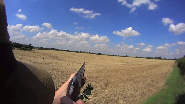 Pigeon Shooting with Fast Cartridges смотреть онлайн
