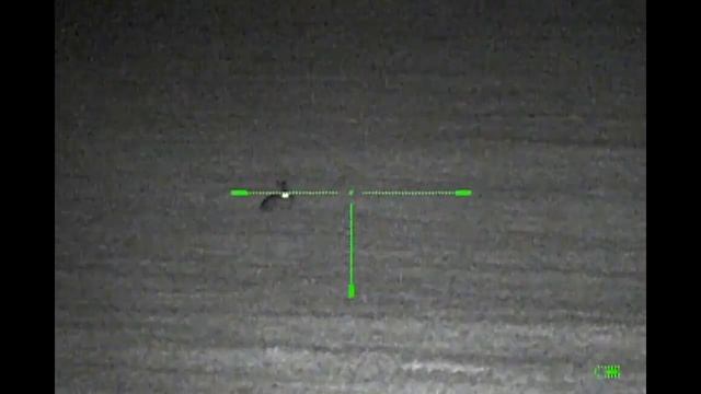 Yukon Photon XT 6.5x Night Vision Riflescope On Rabbits