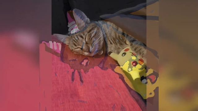 нарисованные обычная Мия 🐱 смотреть онлайн