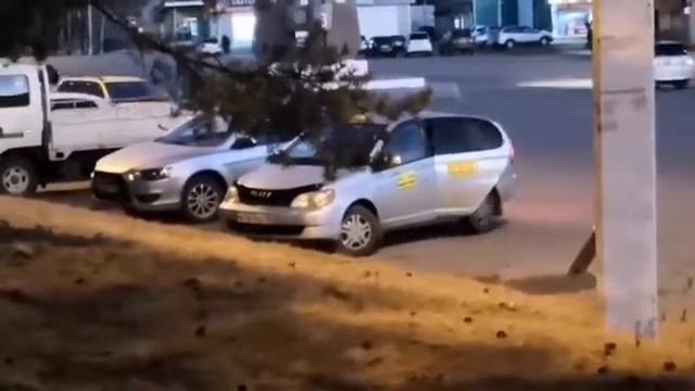 {Честность}♡☆♡[Пранк] смотреть онлайн