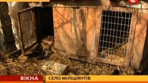 Чупакабра в селе Гнездичном (Украина)