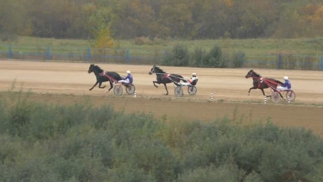 Рысаки 4 х лет и старше 2400м. Емельяновский ипподром 2020 сельский смотреть онлайн