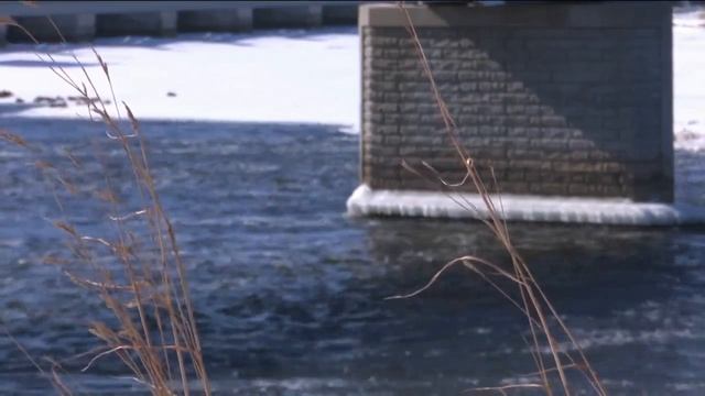 New diet for ducks: mallards dive for zebra mussels in the Fox River смотреть онлайн
