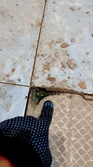 Микромир под плиткой смотреть онлайн