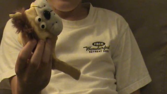 Cat Video- The Adventures of Q, Part 3 смотреть онлайн