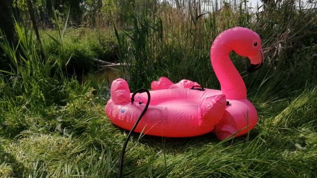 INTEX 57558 - Small Inflatable Flamingo 1.47 M X 1.40 M X 94 Cm, Inflated With Hand Pump- 21.05.202