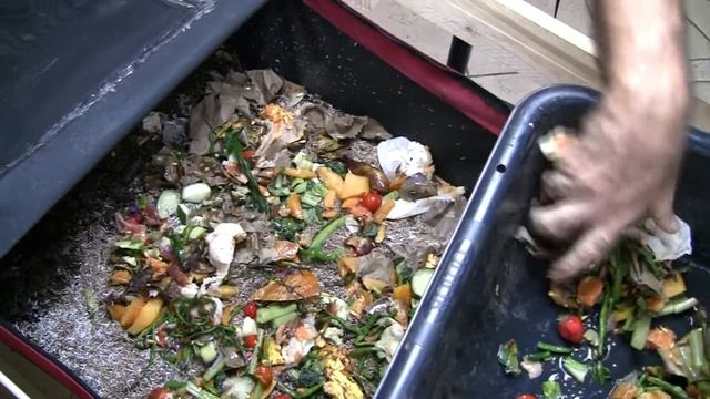 VermiBag Ep 79 Mammoth Feeding **32 lbs of Scraps and Bedding** 10/5/18 смотреть онлайн