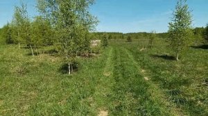 НОВИНКА!!! Переломки в калибре 6.35 без лицензии!!!