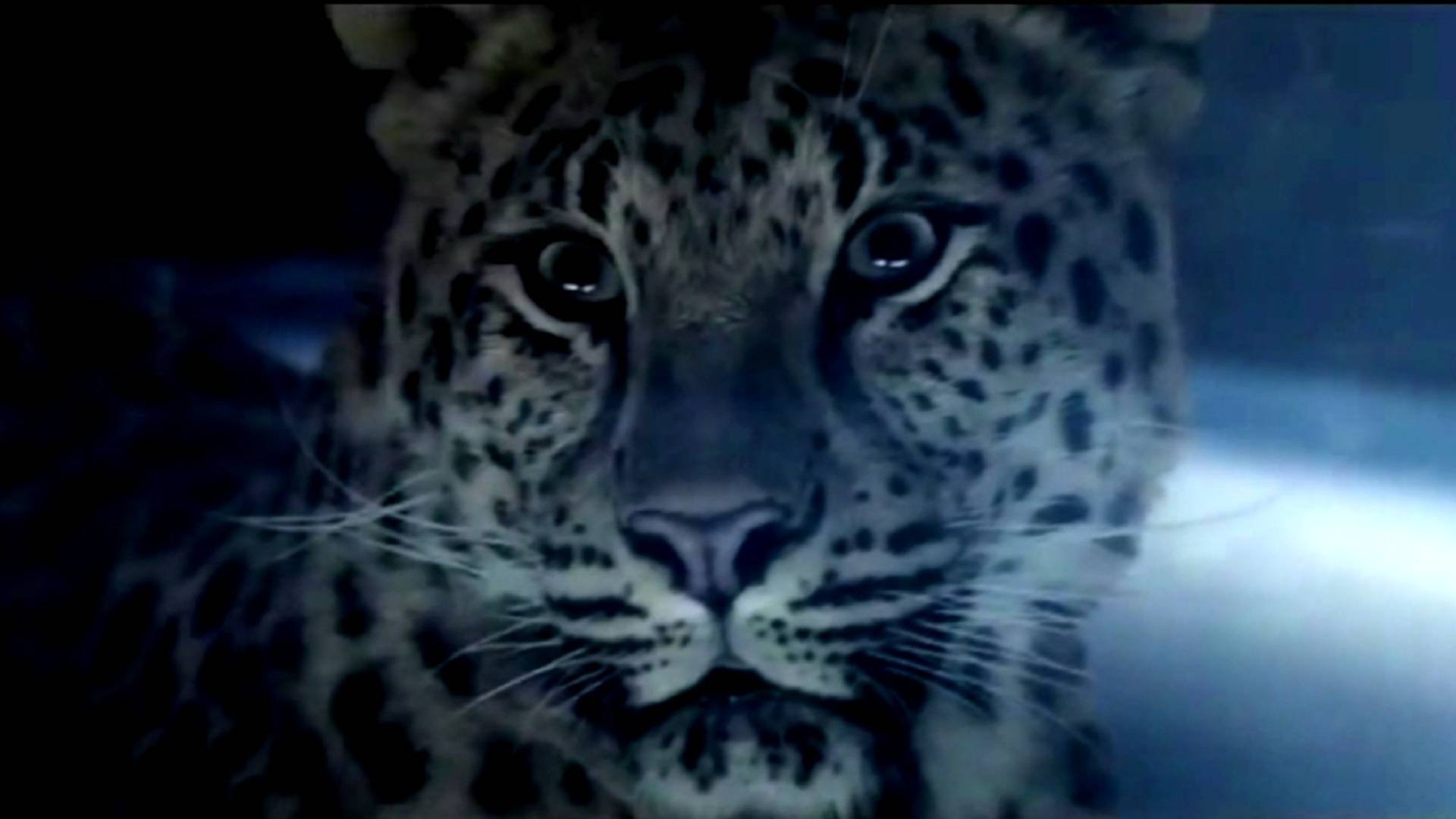 Enigma vs Schiller - Mea Culpa Einsamkeit Elias Mash смотреть онлайн