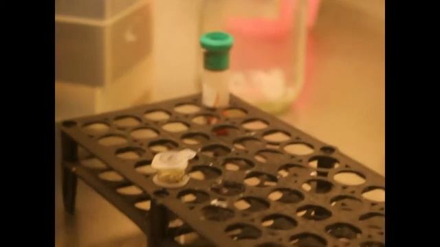 DNA Extraction Reliaprep blood gDNA miniprep system protocol смотреть онлайн