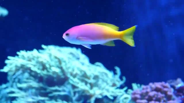 RETRO MIX # Best Deep House Vocal # Nu Disco # Mix 591 # смотреть онлайн