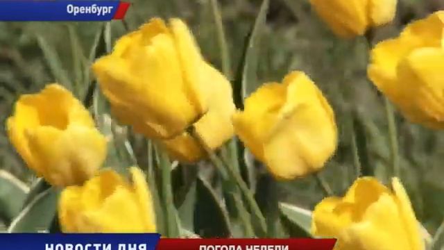 На нынешней неделе атмосферные фронты поделят Оренбуржье смотреть онлайн