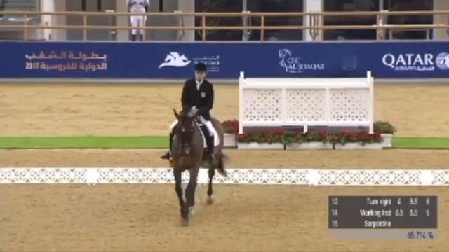 Karol Jędrzejczyk (Luk) CPEDI Doha 2017 Team test смотреть онлайн