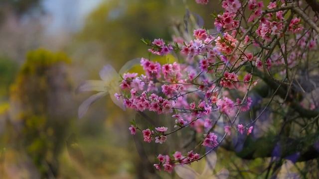 1 мая Кузьма Огородник. Главные народные приметы и запреты дня