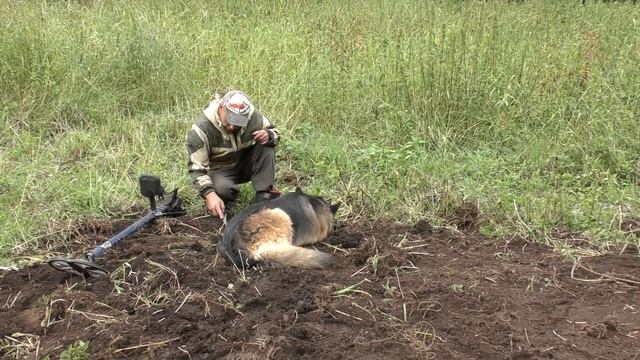 Мишины слёзы или кругом "ЧЕШУЯ"!металлокоп 2020!вторая серия смотреть онлайн