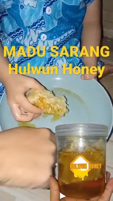 madu sarang hutan, apis dorsata #shorts #maduhutan #madumurni смотреть онлайн
