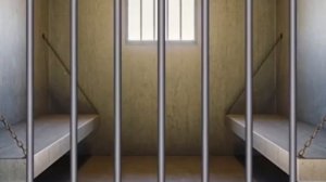 Белуга и тик ток (на русском)