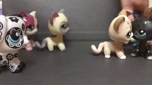 Сериал /Любовный треугольник/ 1 сезон 1 серия