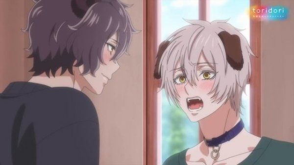 【公式】第４話「ワンコのお願い」【森のくまさん、冬眠中。】BLアニメ