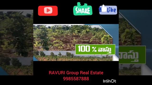 Ravichandran farmland 104 trees investment property 22 cent SQ 700 15years maintenance income 3.5 c смотреть онлайн