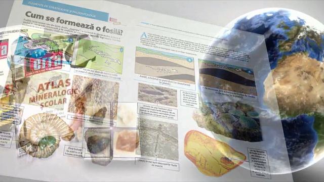 TERRA MAGAZIN pachet special смотреть онлайн