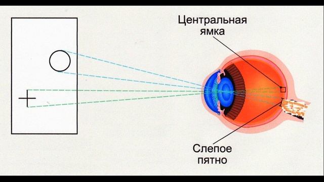 В моём МИРЕ всё получается. смотреть онлайн
