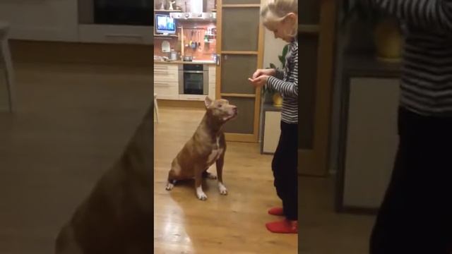 Монамур, за вкусняшку смотреть онлайн