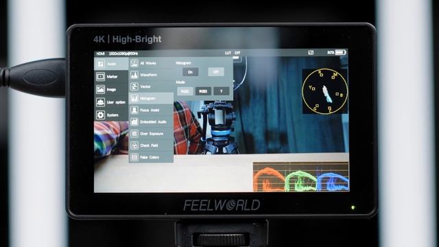 FEELWORLD F5 PROX 5.5" 1600 NIT 4K ON-CAMERA MONITOR REVIEW BEST BUDGET DAYLIGHT VIEWABLE MONITOR? смотреть онлайн