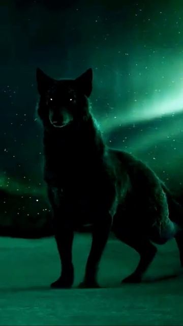 Forest animals #animalsvideo #animals #shorts #youtubeshorts смотреть онлайн