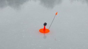 26.01.2025 г.Десногорск.  Зимняя рыбалка на р. Сельчанка